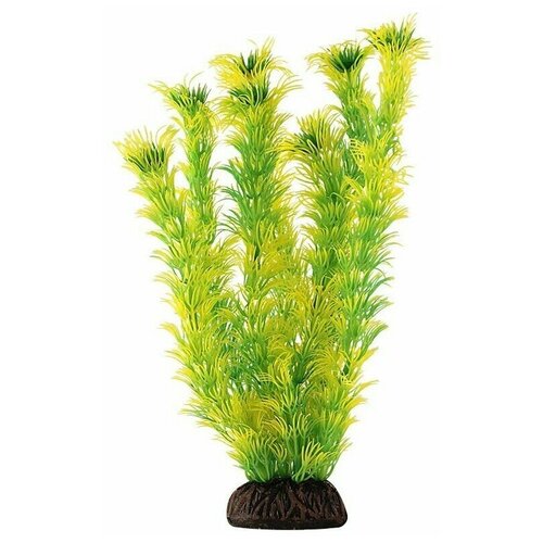 Растение пластиковое жёлто-зелёное Амбулия, 55см