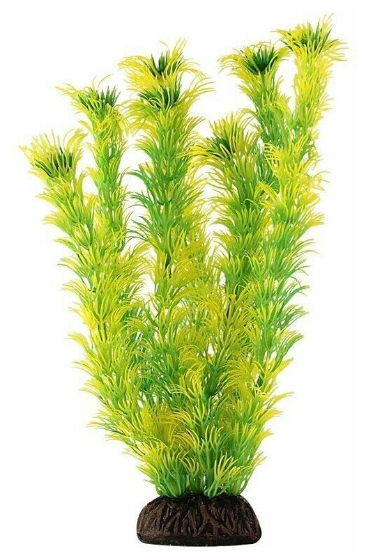 Растение пластиковое жёлто-зелёное Амбулия, 46см