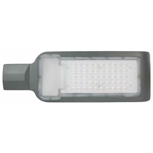 LightPhenomenON Уличный светильник LT–ST–01– IP65–100W–6500K LED Е1605-9001 светодиодный, 100 Вт, цвет арматуры: серый, цвет плафона бесцветный