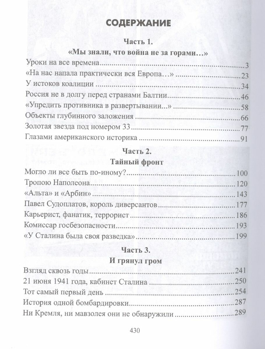 Горькое лето 1941-го (Ефимов Николай Николаевич, Бондаренко Александр Юльевич) - фото №3