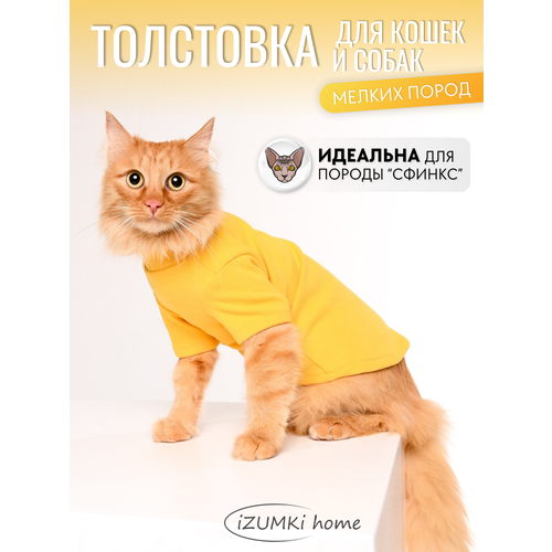 Флисовая толстовка для кошек породы сфинкс