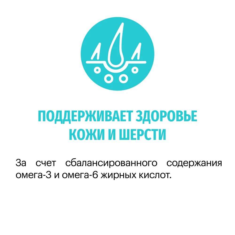 Полнорационный сухой корм KARMY Hypoallergenic Medium & Maxi для собак средних и крупных пород, склонных к пищевой аллергии, Ягненок 14 кг — фото 1