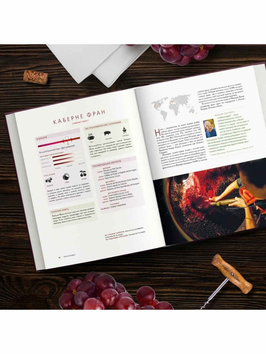 Красное вино. Комплексное руководство по 50 сортам и стилям - фото №9