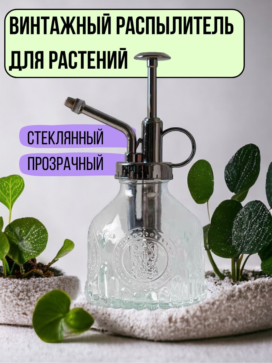 Распылитель для растений декоративный, прозрачный