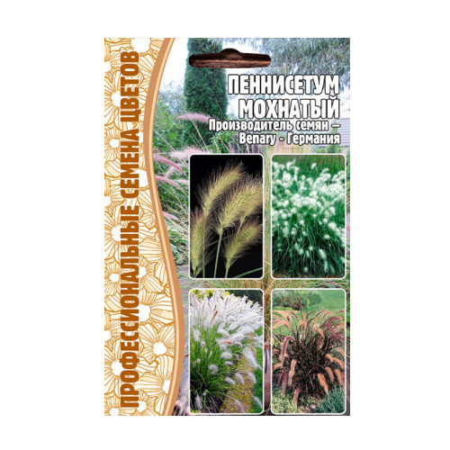 Пеннисетум Мохнатый (Pennisetum Villosum) 10 шт редкие семена пеннисетум лисохвостный хербстцаубер