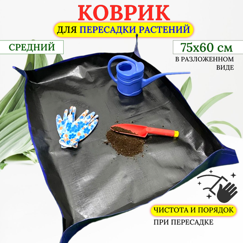 синий, черный
