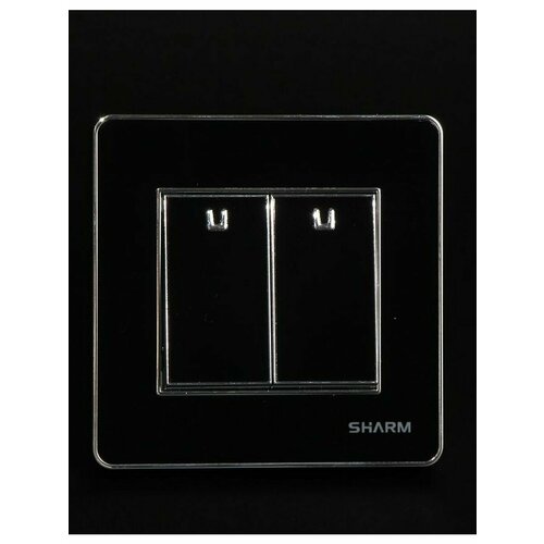 Выключатель света двухклавишный 105