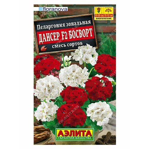 Пеларгония Дансер F2 Босворт см