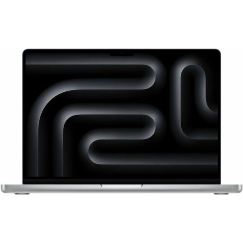Apple MacBook Pro 14 M4 10c CPU 10c GPU 241TB черный космос 2024 178068₽