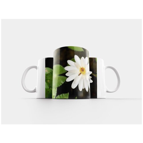 фото Кружка "пчела, водяная лилия, белый" 320 мл lotsprints