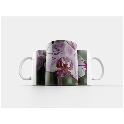 фото Кружка "орхидея, декоративное растение, орхидные" 320 мл lotsprints