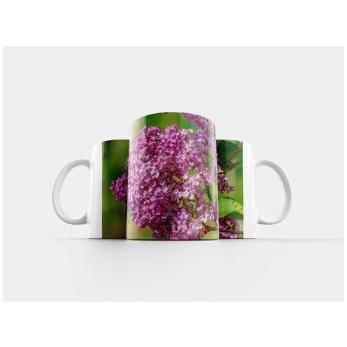 фото Кружка "сирень, маслиновые, цвести" 320 мл lotsprints