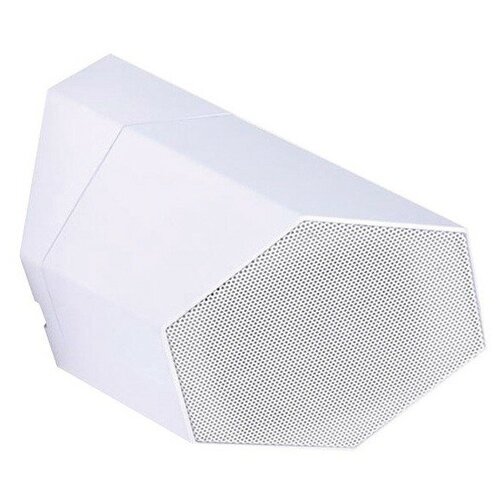 Cloud Electronics CS-S3W настенный громкоговоритель 1859000₽