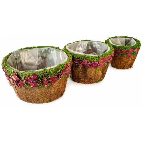 Кашпо Lemar, Коричневый , 10 см х 19 см х 19 см, 3 шт