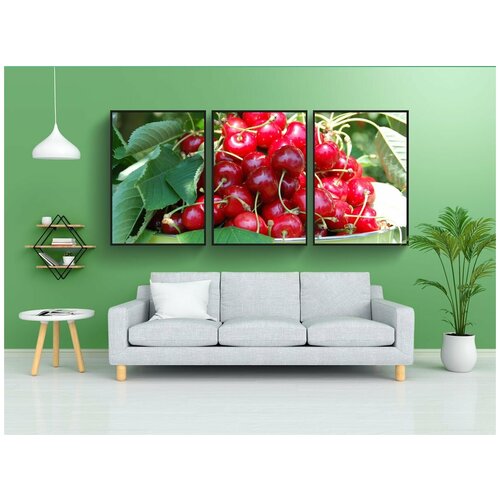 фото Набор модулных постеров для интерьера "вишни, коллекция, фрукты" 60x90 см. в тубусе, без рамки lotsprints