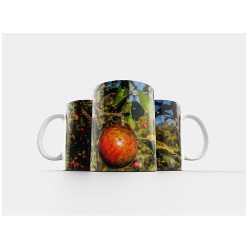 фото Кружка "фрукты, природа, дерево" 320 мл lotsprints