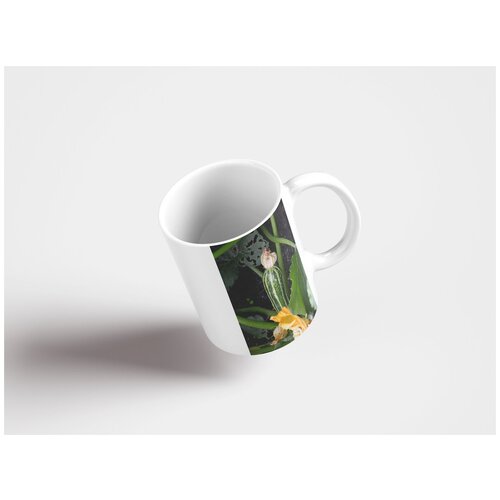 фото Кружка "цуккини, овощи, цвести 320 мл. белая" lotsprints