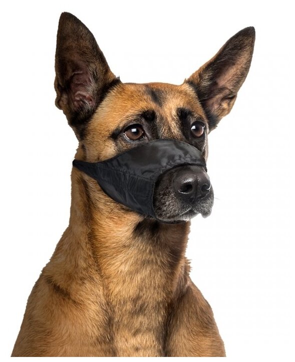 Намордник для собак DUVO+ "Dog Muzzle", черный, XXL (Бельгия) - фотография № 10