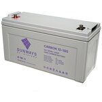 Аккумуляторная батарея SUNWAYS CARBON 12-100 - изображение