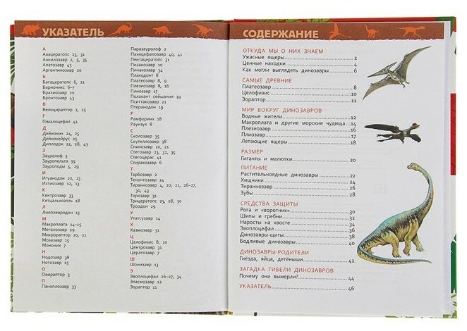 Динозавры. Энциклопедия для детского сада - фото №17
