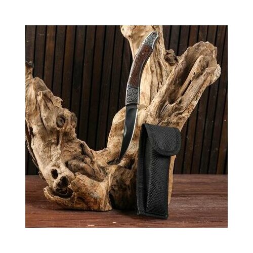 фото Нож складной "щука", 21см, клинок 9,5см 5177895 .