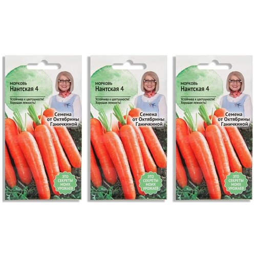 Набор семян Морковь Нантская 4 2 г - 3 уп. набор семян морковь нантская 4 2 г 10 уп