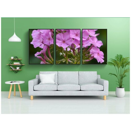 фото Набор модулных постеров для интерьера "высокий многолетний флокс, флокс метельчатый, метелка фламинго" 60x90 см. в тубусе, без рамки lotsprints