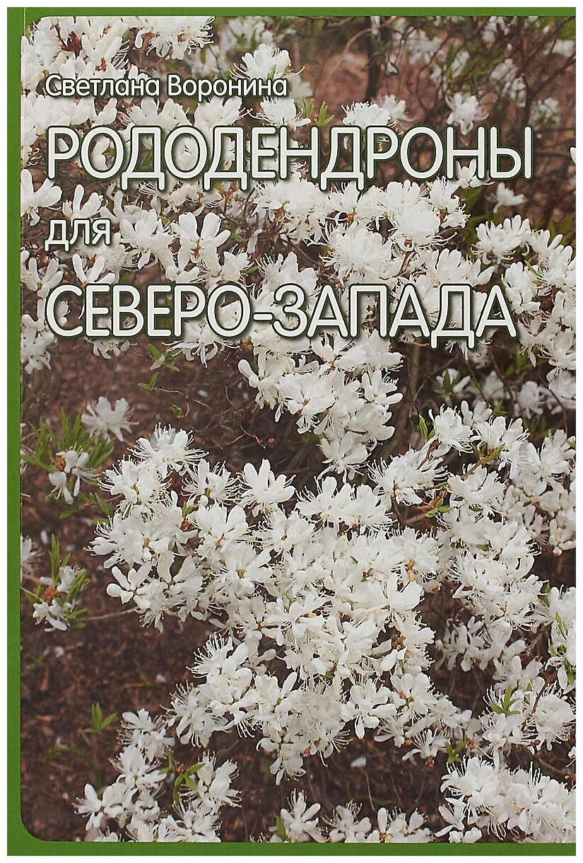 Рододендроны для Северо-Запада