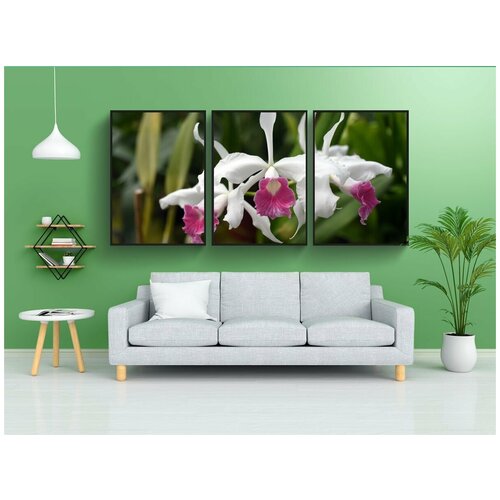 фото Набор модулных постеров для интерьера "лелия пурпурата, орхидея, завод" 60x90 см. в тубусе, без рамки lotsprints