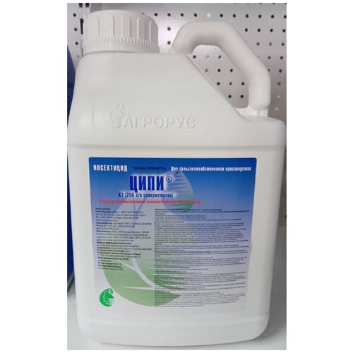 Ципи 5л
