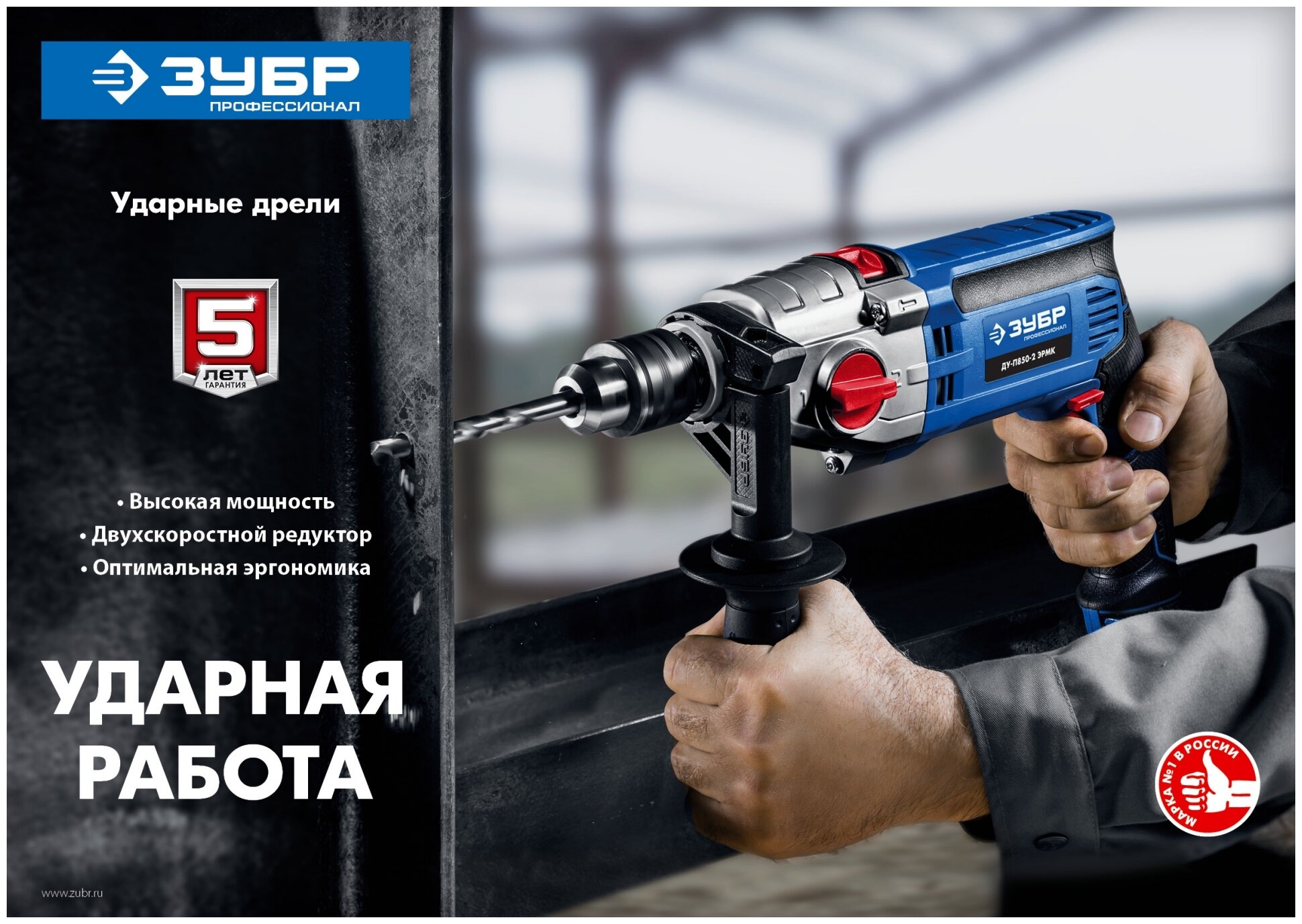 Ударная дрель ЗУБР ДУ-П850-2 ЭРМ, 850 Вт синий