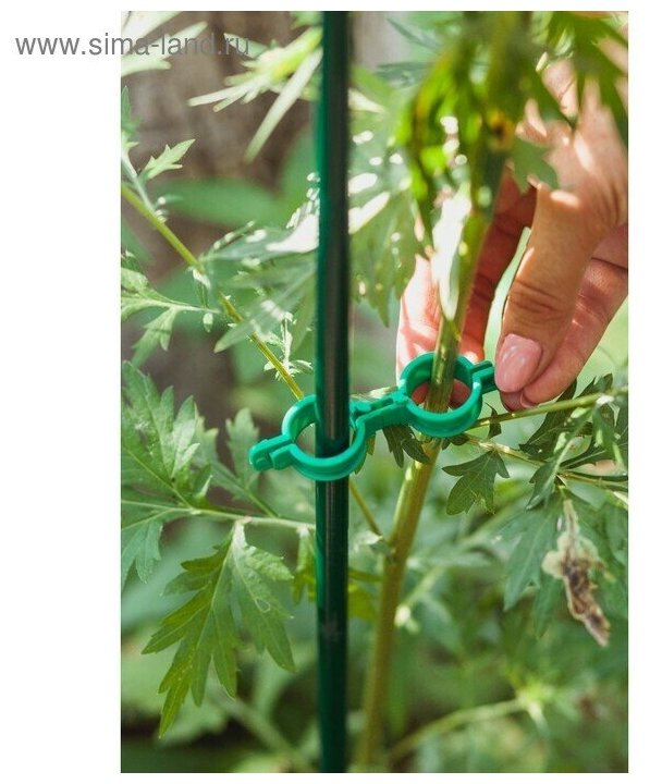 Кольцо-фиксатор для растений d 20 мм набор 20 шт зелёный