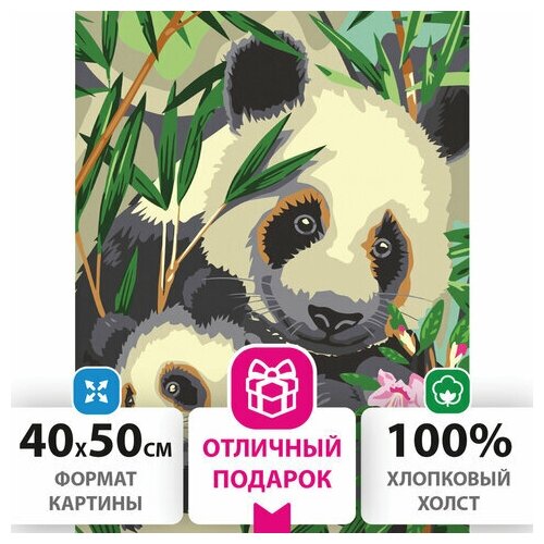 Картина Unitype по номерам 40х50 см - (1 шт) картина по номерам остров сокровищ 662471 панды