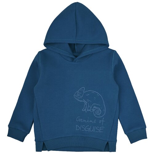 фото "3017а джемпер (худи) 116, синий" leo