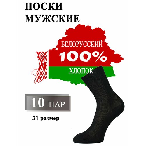 Носки Белорусский хлопок, 10 пар, размер 45/46, черный