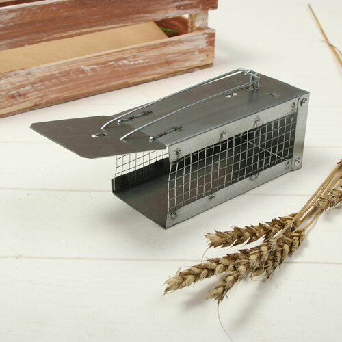 Мышеловка для мышей металлическая 880₽