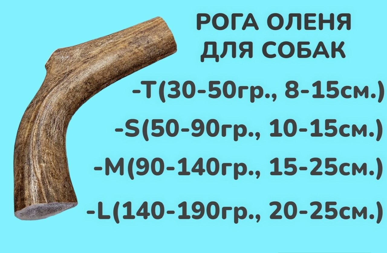 фото Рога оленя для собак, размер S. Для маленьких и средних пород собак весом от 2 до 5 кг.
