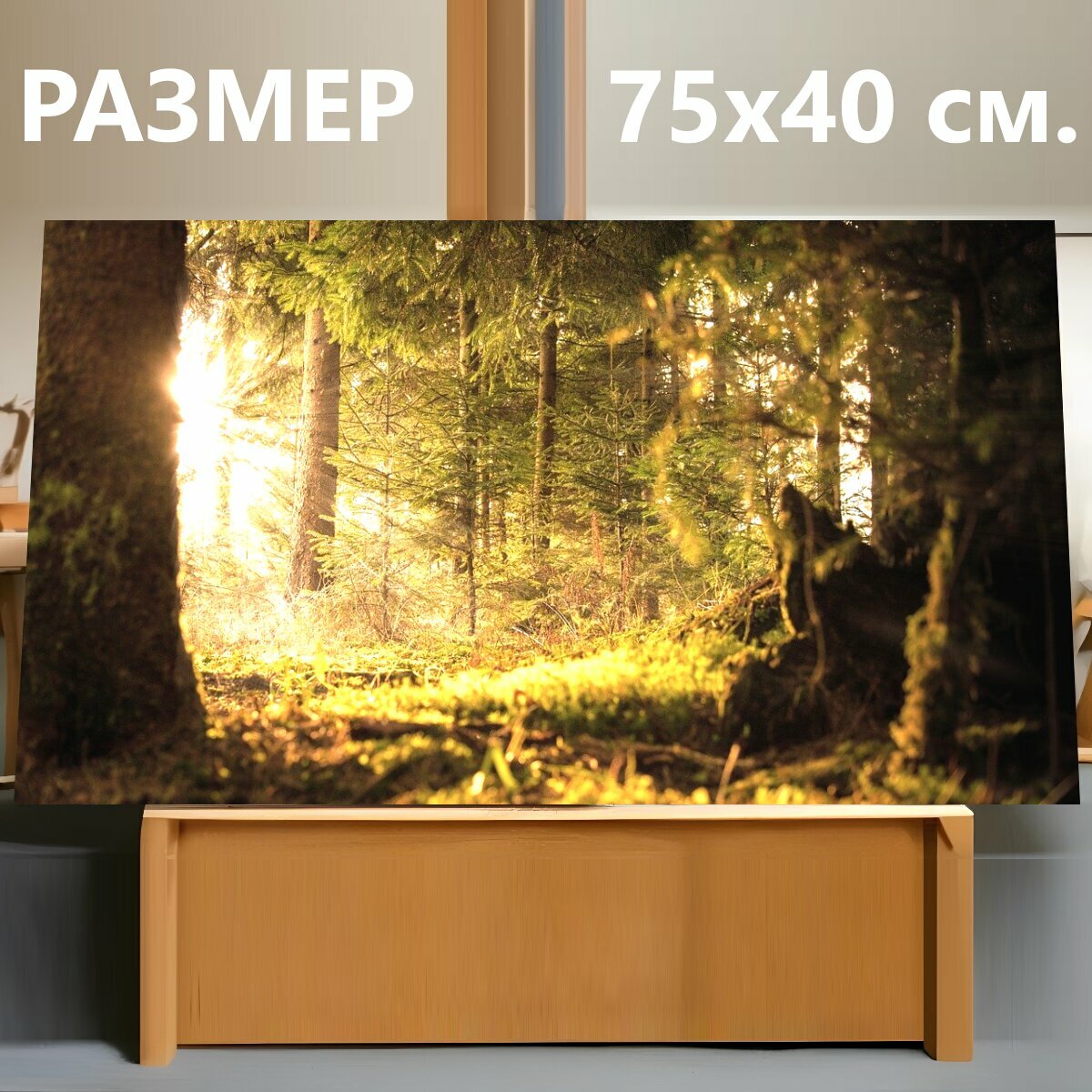 Картина на холсте "Лес, солнце, светить" на подрамнике 75х40 см. для интерьера