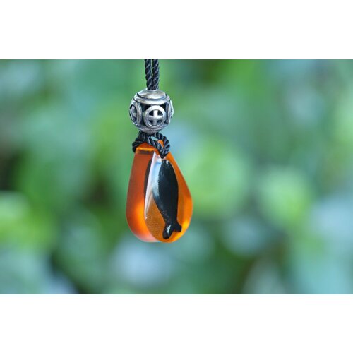  МИСТОРИИ, дерево