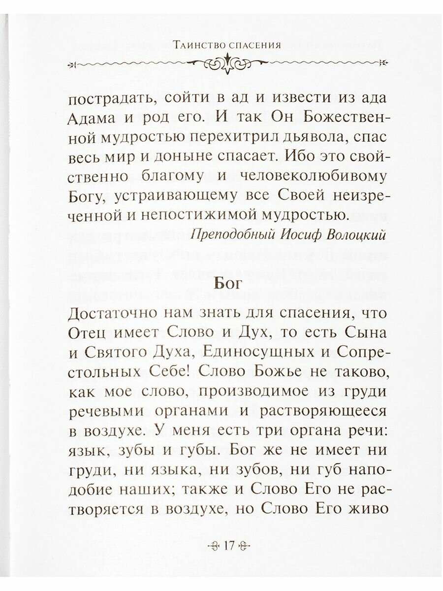 Таинство спасения. По творениям преподобных Иосифа Волоцкого и Нила Сорского - фото №8