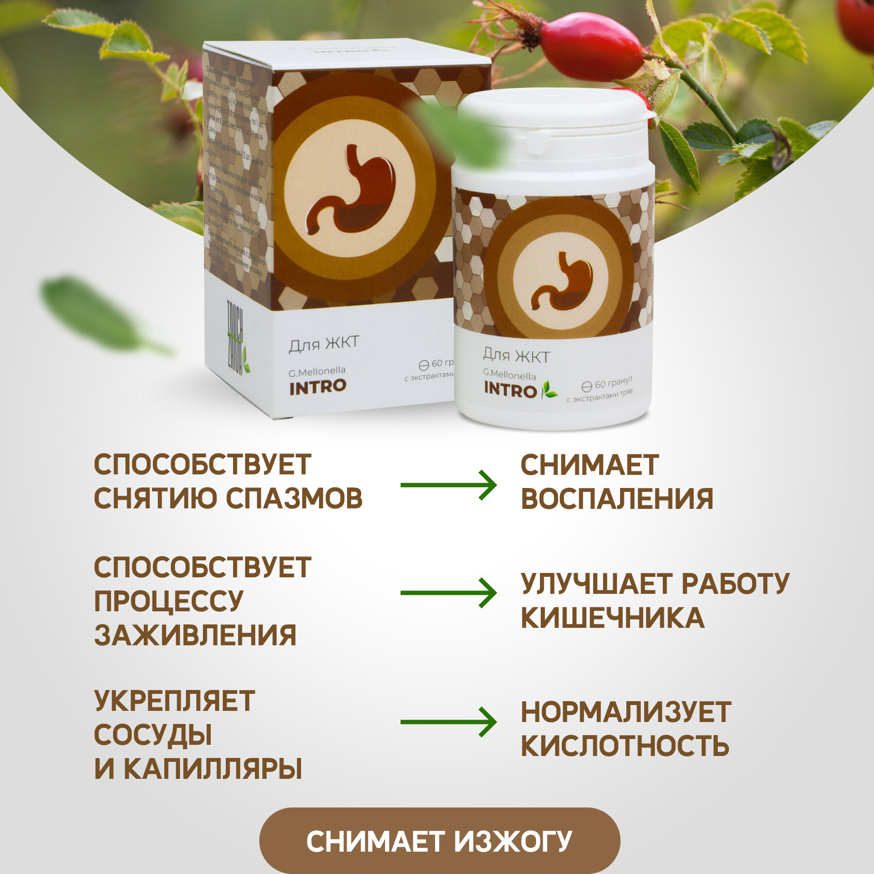 Картинки Огневка Интро - для желудочно кишечного тракта, для улучшения пищеварения, для ЖКТ 60 гранул.
