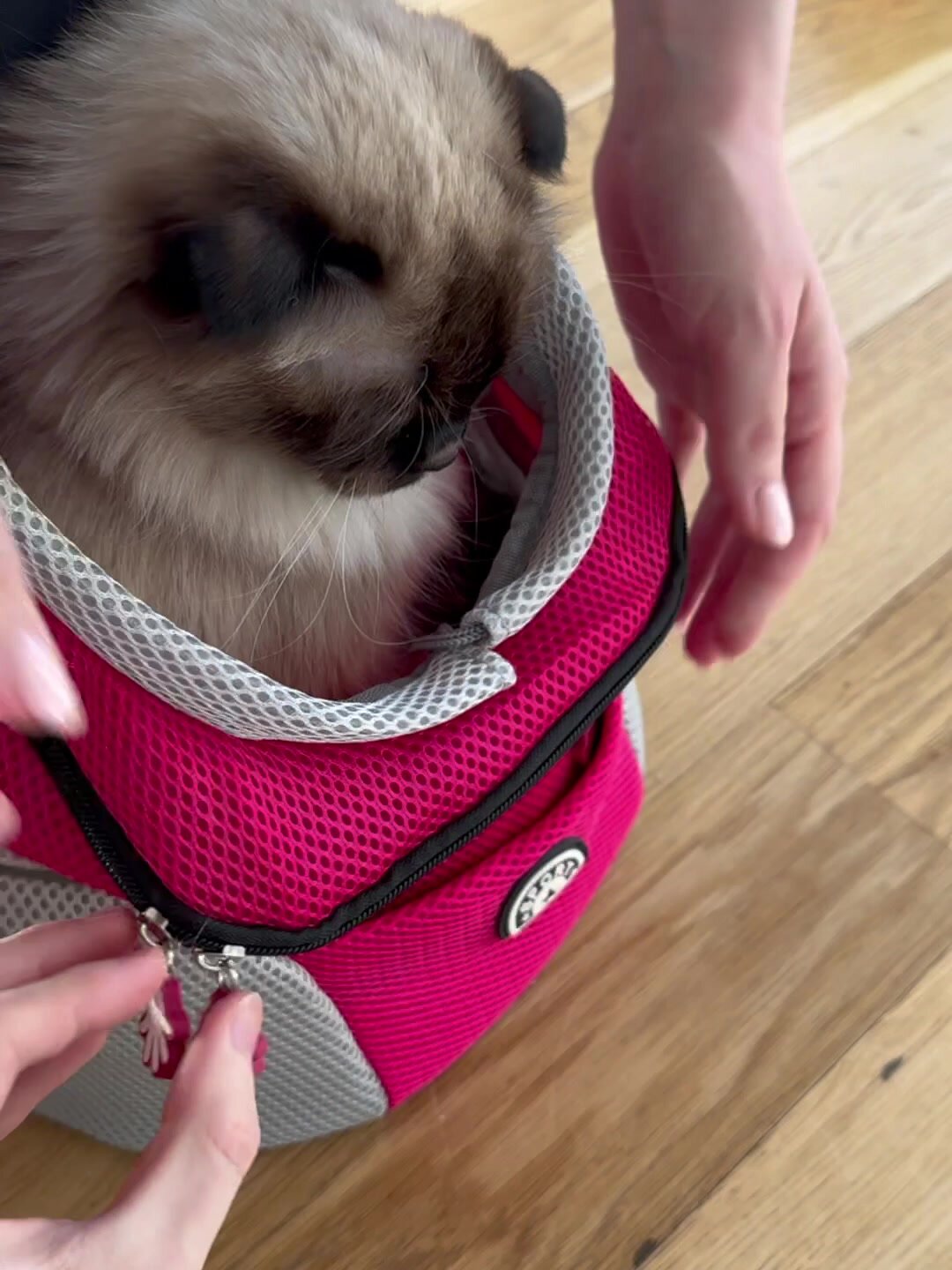 Рюкзак переноска для кошек и собак маленькая — фото 1