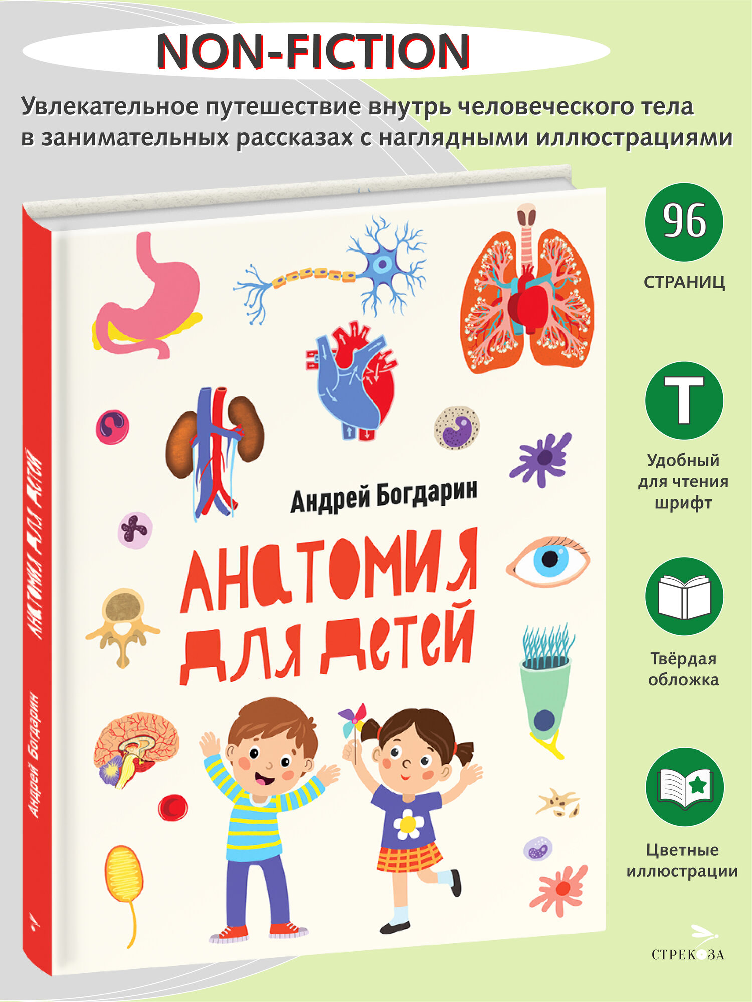 Анатомия для детей. Non Fiction