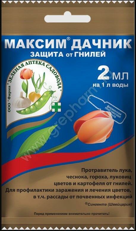 Максим Дачник