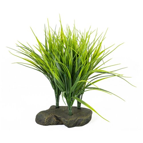 Декоративное растение для террариумов LUCKY REPTILE Sumatra Grass, 20см (Германия)