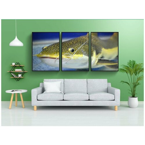 фото Набор модулных постеров для интерьера "рыбы, животные, смотреть" 60x90 см. в тубусе, без рамки lotsprints