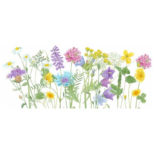 Фотообои Уютная стена Горные травы 470х270 см Виниловые Бесшовные единым полотном 16500₽