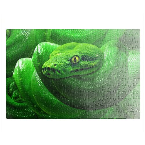 Пазлы CoolPodarok Властный зелёный змей 26х38см 252 элемента