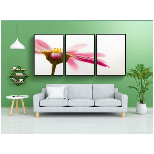 фото Набор модулных постеров для интерьера "маргарита, цвести, ароматный" 60x90 см. в тубусе, без рамки lotsprints