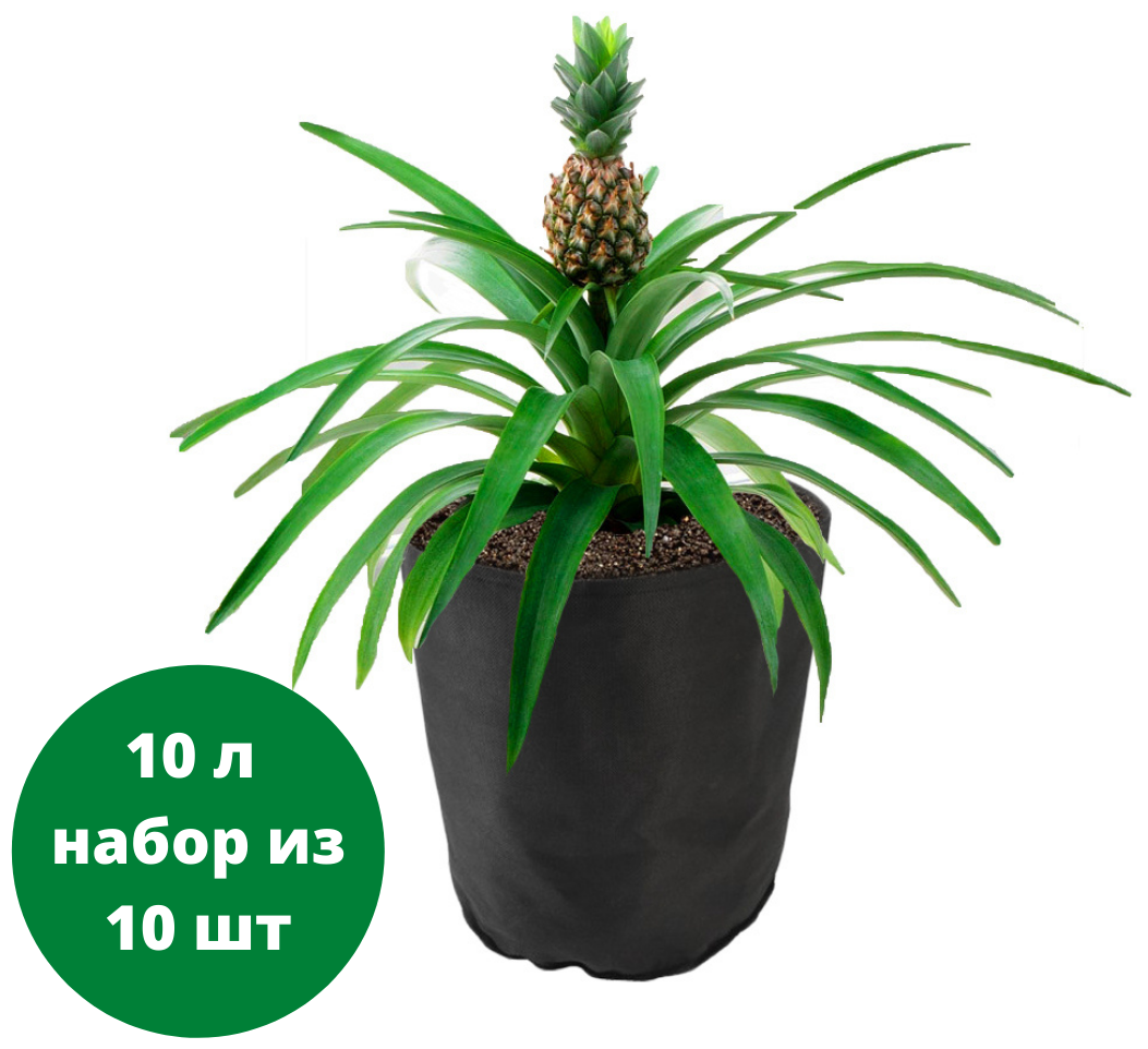 Тканевый (текстильный) горшок для растений Bag Pot Eco 10 л набор из 10 шт